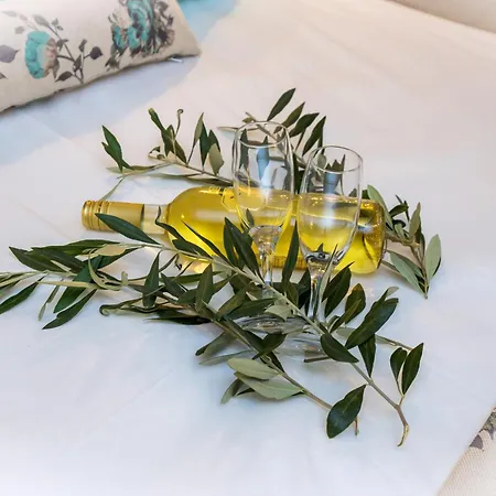 Aparthotel Aldebaran Homes Limenaria (Thasos)